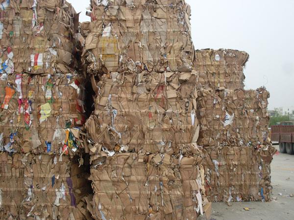 潍坊什么地方有提供有口碑的废纸收购，高密废纸收购