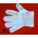 供应高级透明塑料薄膜卫生手套