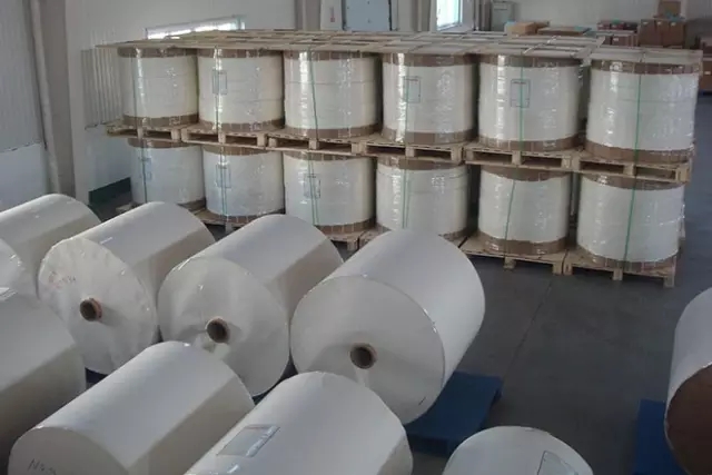 纸引未来,造纸