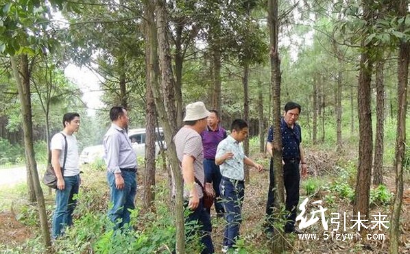 督察组在查看项目实施基地