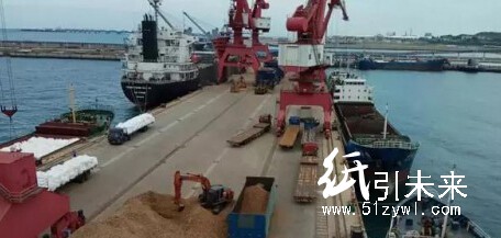 海南金海浆纸提升专用码头运行效率