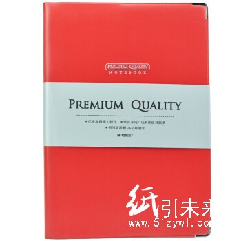 晨光A5皮革胶套本商务必备100页APY4G411