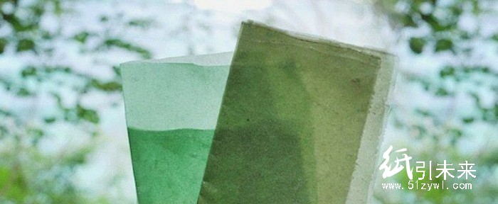 印度尼西亚一公司想用海藻来代替食品塑料包装