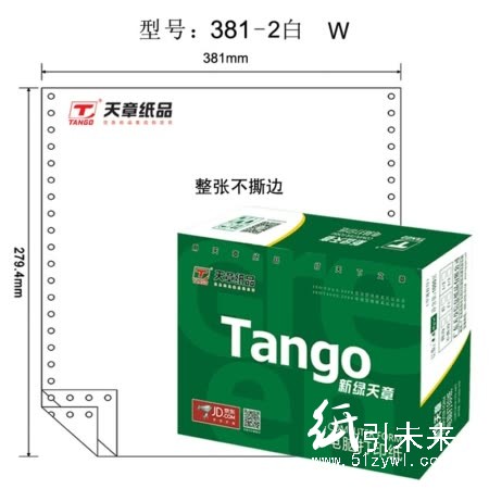 天章（TANGO）多彩天章新绿381-2两层整张132列 电脑打印纸（不撕边 1000页/箱 全白）
