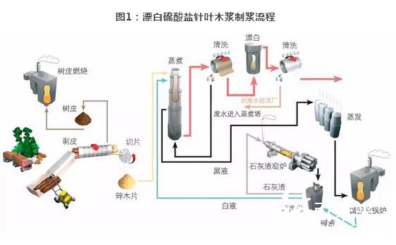 纸浆的生产流程和应用