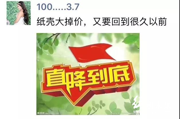 广东泛红昙花一现！天津玖龙100砸盘！废纸暴跌1200！货源严重滞销，行业将面临大洗牌