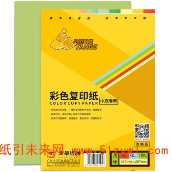 金彩天章 A4 80g 彩色复印纸 500页/包 5包/箱 整箱价 浅绿