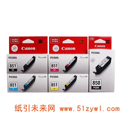 佳能（Canon） CLI-851 墨盒套装(含PGI-850PGBK/CLI851BK/C/M/Y五色墨盒) 黑色1100/彩色310页打印量 适用机型：ip7280/ix6780/ix6880/8780