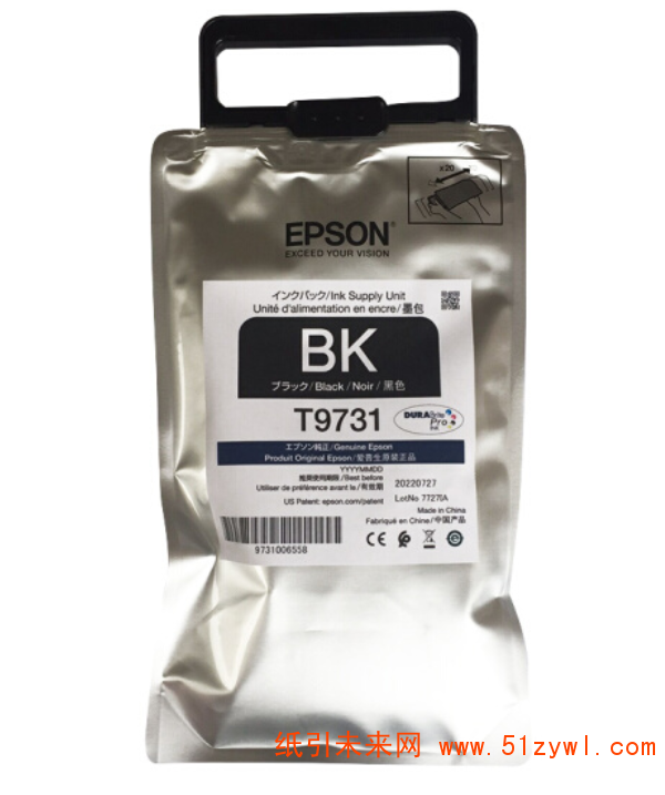 爱普生（EPSON）T9731BK原装黑色墨水袋 适用(PX-S7070S/PX-M7070FX/WORKFORCE/PRO WF-C869R SERIES) 爱普生WF-C869Ra