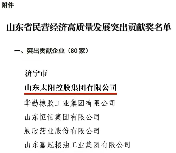 太阳控股荣膺“山东省民营经济高质量发展突出贡献企业”