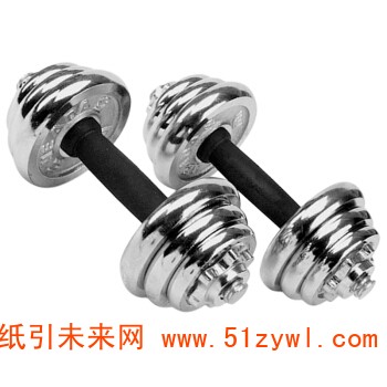 电镀哑铃 12kg/对 单只6kg