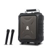 狮乐（SHILE）电瓶拉杆音箱	SL-2015	低音8寸 高音3寸 环保塑料箱耐磨防水 带显示屏 带两只手持无线话筒 带遥控 黑色