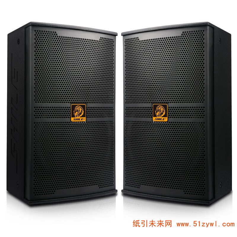 狮乐(SHILE）专业舞台音箱 BM-10 额定功率:250W-400W 重量:16.6KG/只