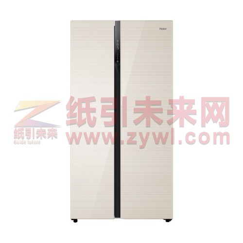 海尔（Haier）BCD-539WDCO对开门冰箱 总容量539L 风冷 电脑控温 轻奢金 二级能效 647*908*1775
