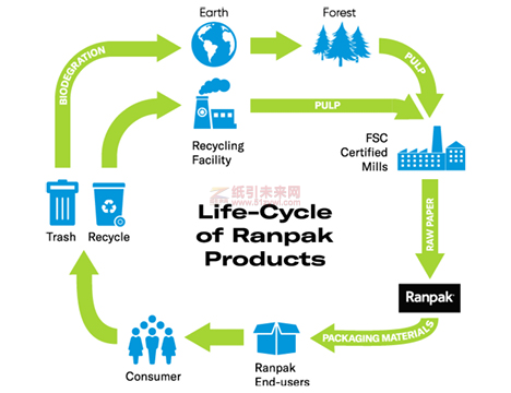 可持续包装 纸引未来网