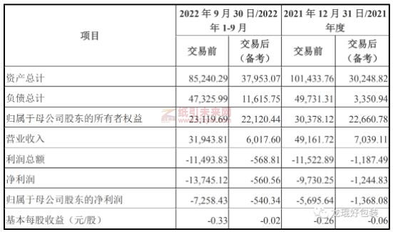 滨海能源的主要财务指标